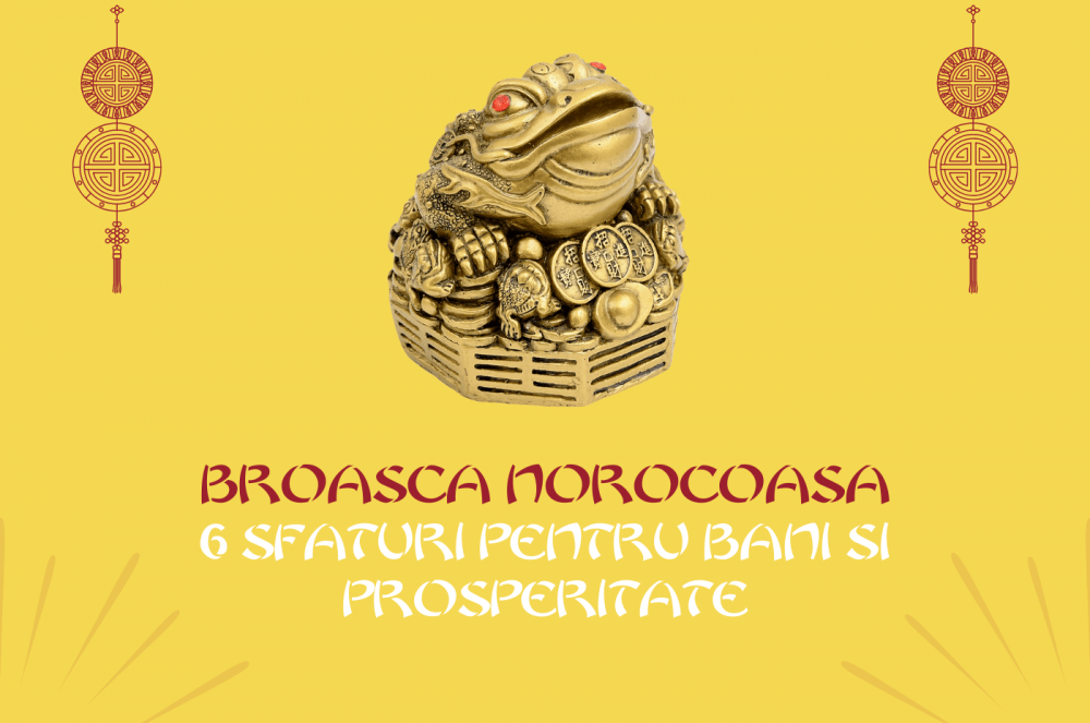 broasca-norocoasa-feng-shui