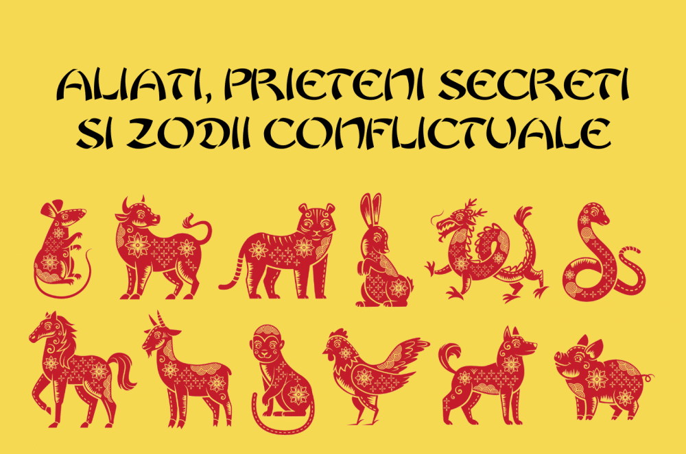 Aliati prieteni secreti feng shui